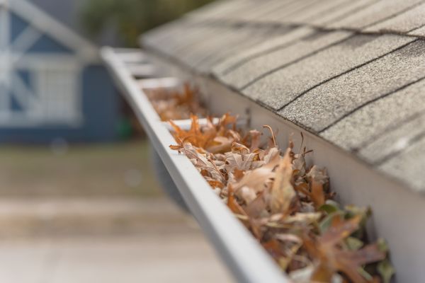 Leaf Barrier Installation in Harrisburg